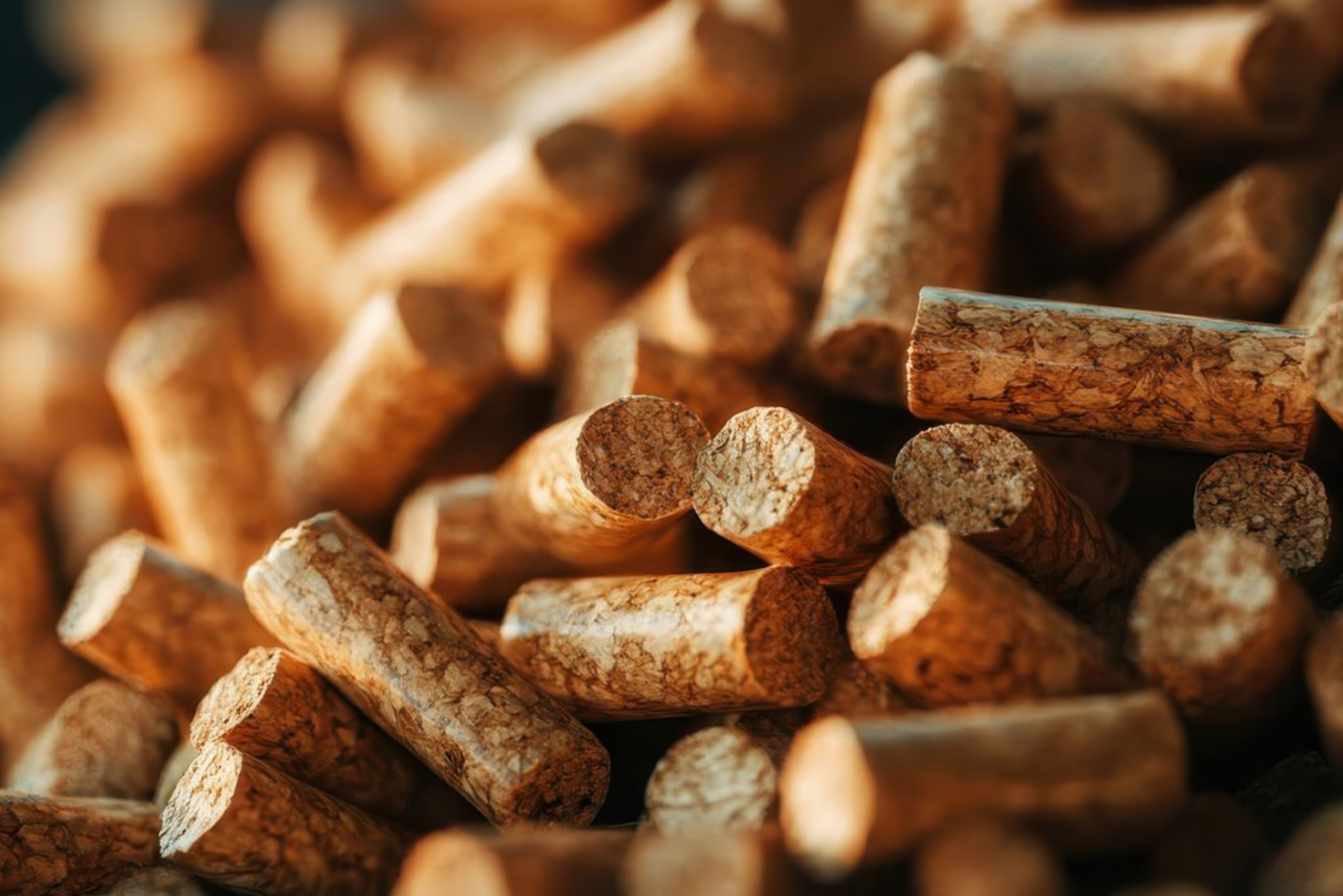 Pelletheizung bei Wärmevision GmbH in Weichering